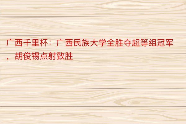 广西千里杯：广西民族大学全胜夺超等组冠军，胡俊锡点射致胜